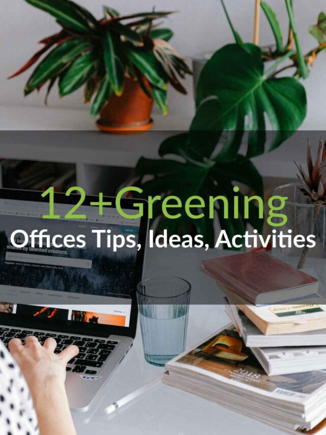 12+Greening Offices Tips, ideas, activities : Re-think the philosophy to a Sustainable & productive workplace!!