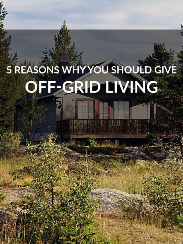 5 reason why you should give off grid living