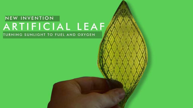 Don’t Amaze!! This Artificial Leaf Turning sunlight to fuel and oxygen!!