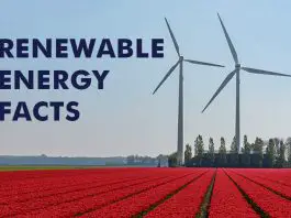 Facts About Renewable Energy