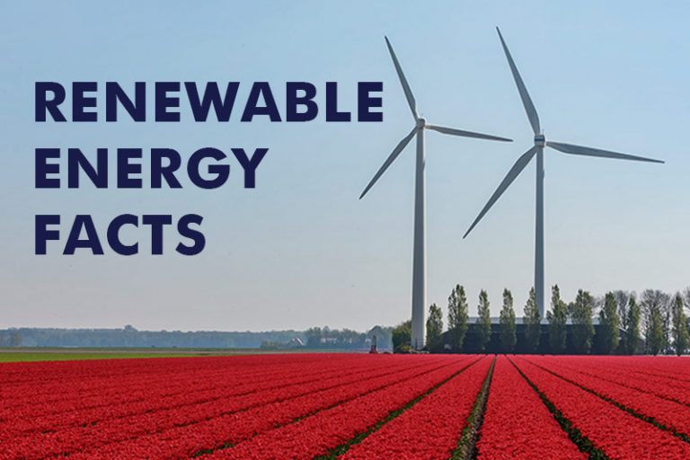 25 Renewable Energy Facts and Stats might surprise you!!