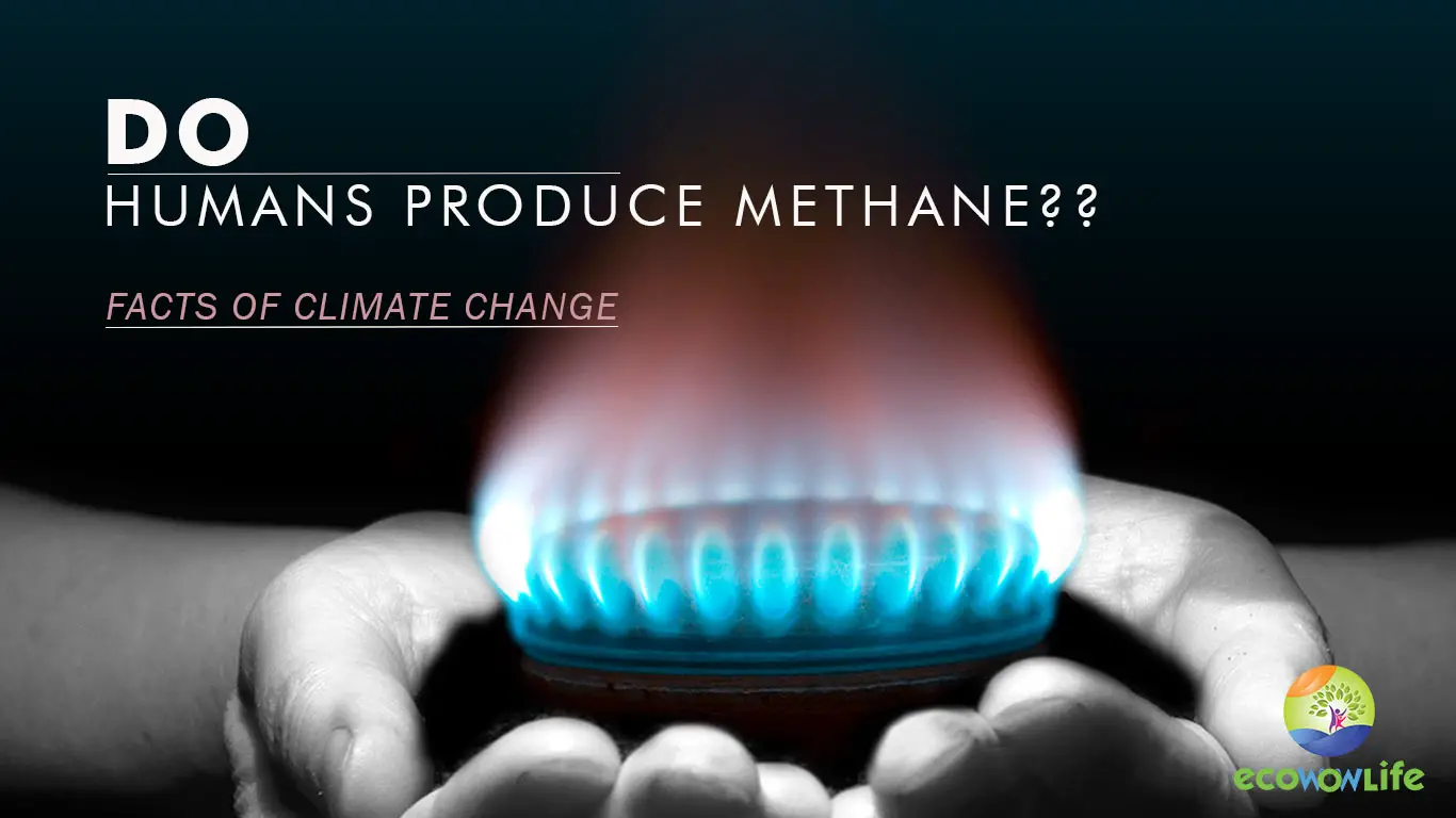 do-human-produce-methane-gas-facts-of-climate-change