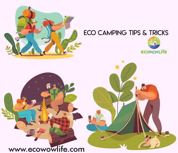 Tips of eco camping