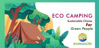 Eco Camping- Guide of Sustainable camping