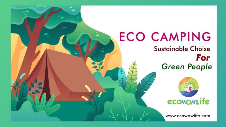 Eco Camping for Eco conscious Camper!Guide of sustainable camping!