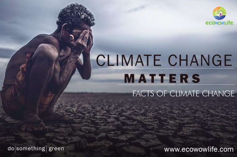 Your must known facts of Climate Change!!Causes, Effects & Solutions