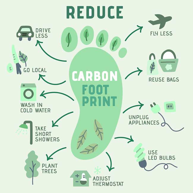 How-Eco-friendly-practices-and-tricks-helps-to-reduce-the-individual-carbon-footprint