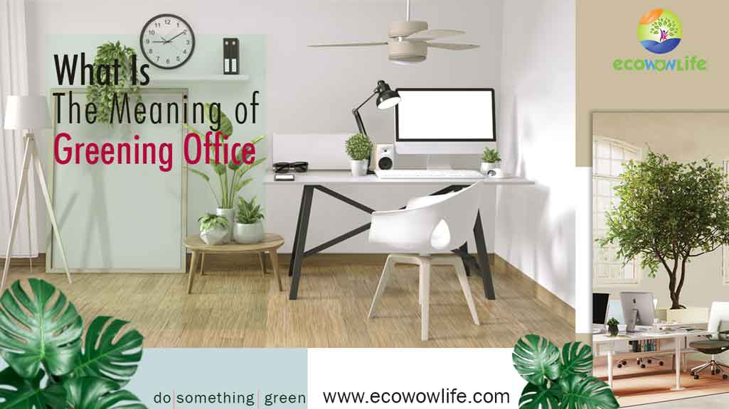 What is Greening Office Meant By