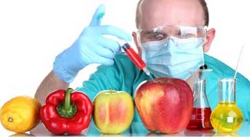 Neoliberalism and The GMO: the dark side of organic industries