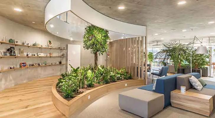 greening-office-Biophilic-office-design2