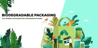Definitive Overview of Biodegradable Packaging