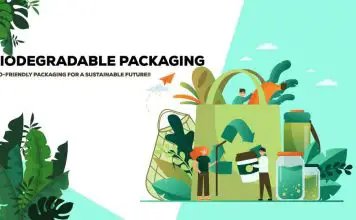 Definitive Overview of Biodegradable Packaging