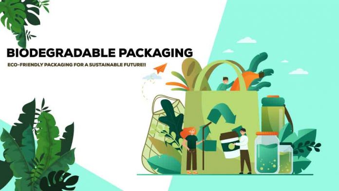 Definitive Overview of Biodegradable Packaging