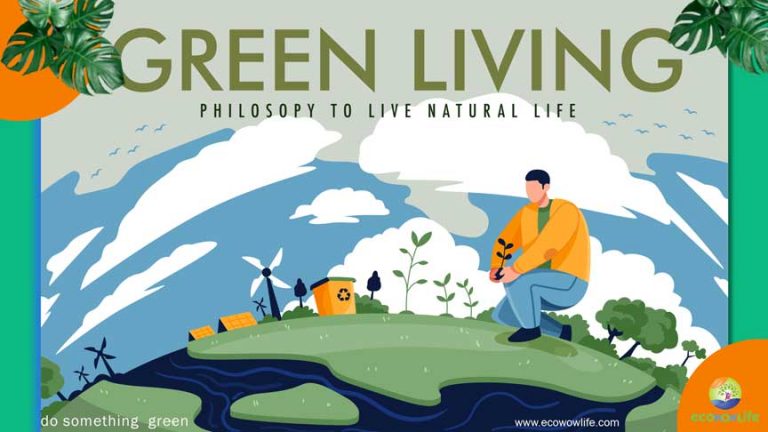 Why Green Living Matter in 2023? The Ultimate Guide Of Green Lifestyle!!