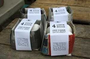 Green Packaging-Newspaper egg carton