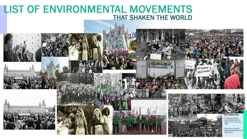 thesis environmental movement