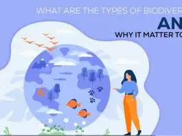 What are the types of biodiversity and why it matter to us