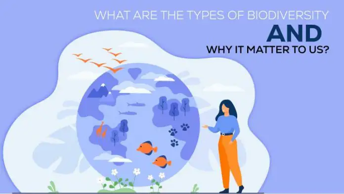 What are the types of biodiversity and why it matter to us