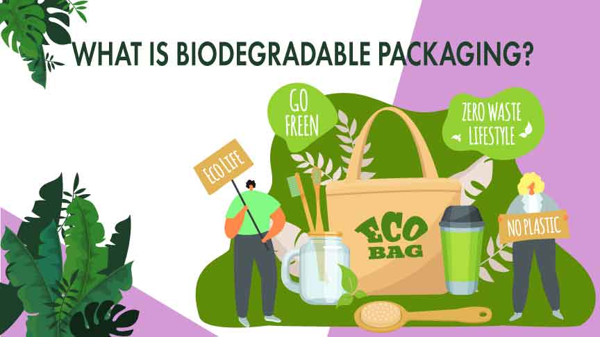 What is Biodegradable Packaging