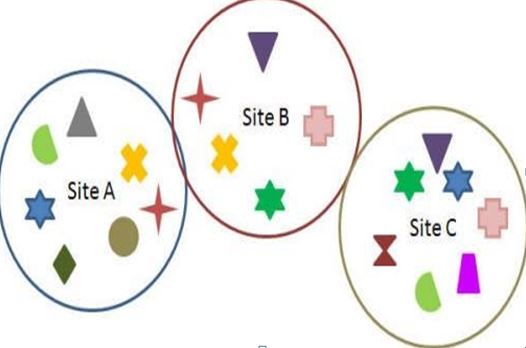 ways of measuring Biodiversity