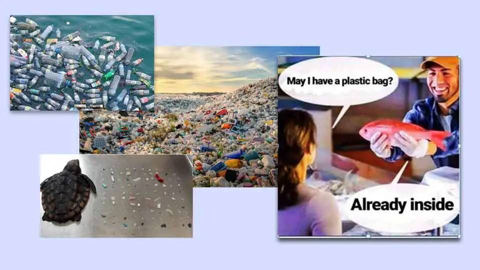 green-packaging-vs-plastic pollution