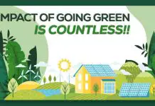 Impact Of Going Green
