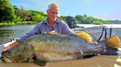 Predator fish like Nile perch occured loss of biodiversity