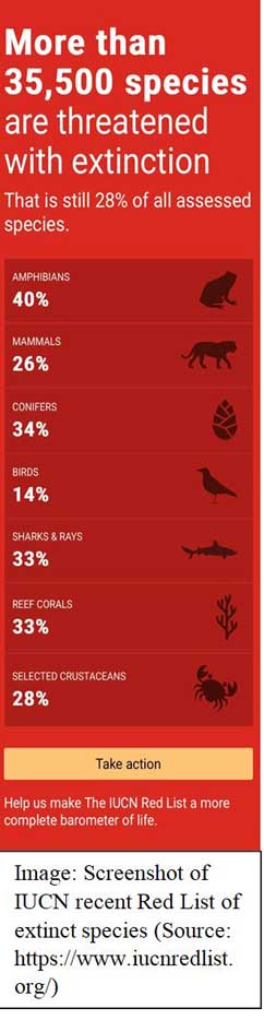 loss of bidiversity-red-list-of-extinct-species