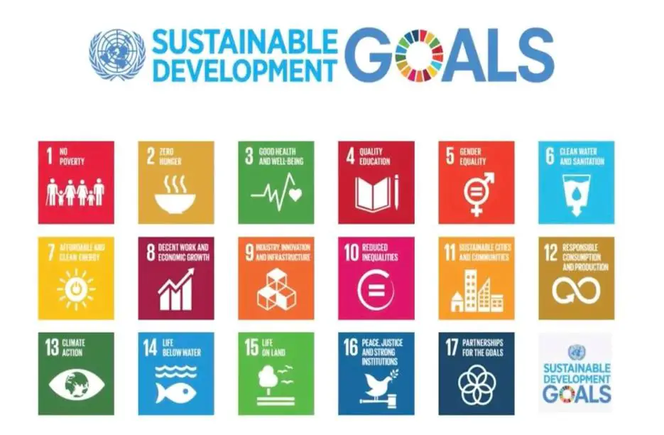 Sustainable Development Goal for Eco School