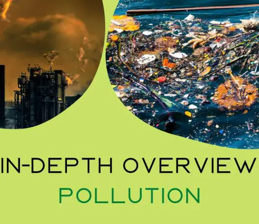 An In-Depth Overview of Pollution