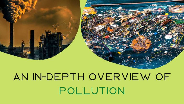 An In-Depth Overview of Pollution: Where will we end up?