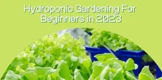 Hydroponic Gardening For Beginners in 2023