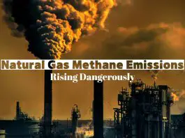 Natural Gas Methane Emissions