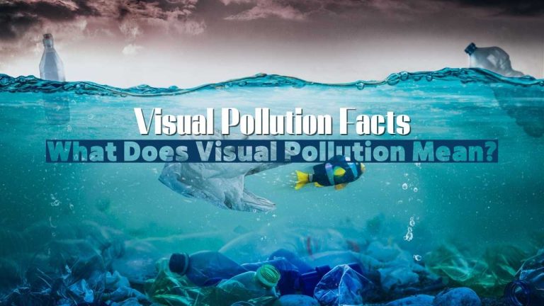 Visual Pollution Facts: What Does Visual Pollution Mean?