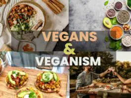 Vegans and Veganism: Is Vegan and Veganism The Same Thing?